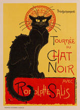 Load image into Gallery viewer, Chat Noir